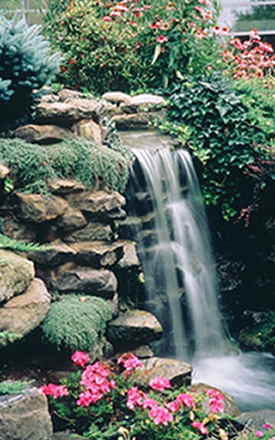 Mentor Surgery Waterfall