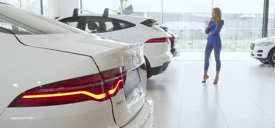 SeymourCars in the Showroom